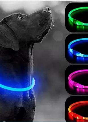 Ошейник светодиодный для собак | светящийся ошейник shopmarket1 фото