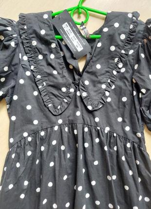 Платье меди с воротником в черно-белый горошек influence4 фото