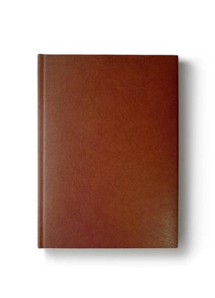 Діловий щоденник а5 недатований серія "light", лінія, світло-коричневий 270211 фото