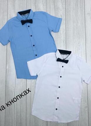 Рубашка с бабочкой blueland для мальчика 6-9 лет короткий рукав арт.1503, размер детской одежды (по росту)