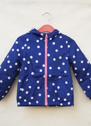 Куртка синя в білий горошок