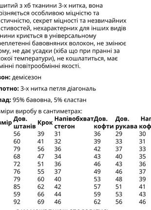 Костюм однотонний худі з капюшоном і штани джогери10 фото