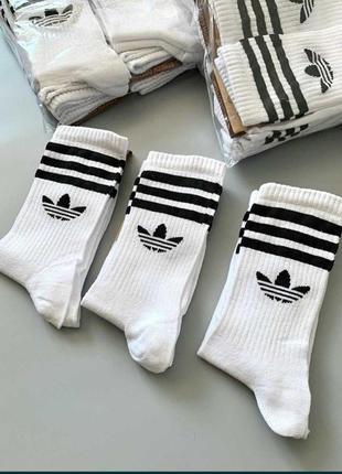 Высокие носки  adidas