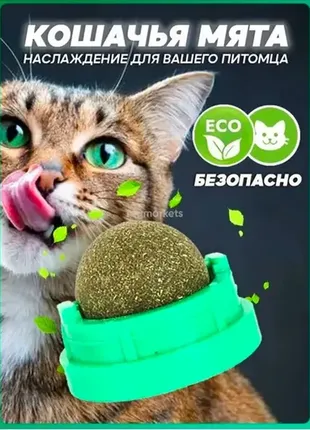 Котяча м'ята, м'ята іграшка для котів і котів, кулька ласощі з котячою м'ятою