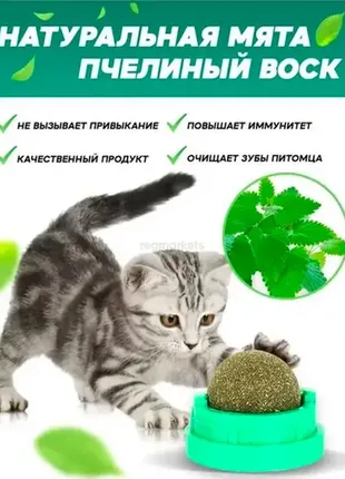 Котяча м'ята, м'ята іграшка для котів і котів, кулька ласощі з котячою м'ятою2 фото