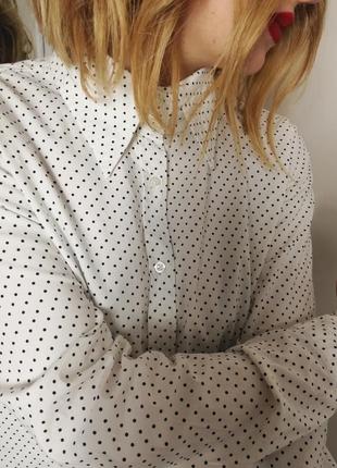 Фірмова шикарна сорочка блуза в горошок montego7 фото