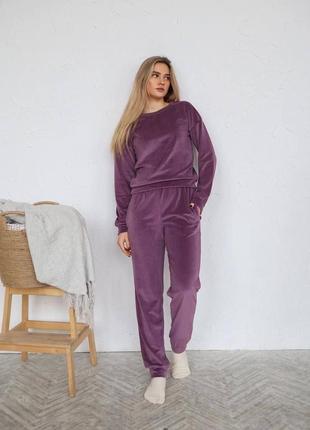 Чорничний/фіолетовий натуральний велюровий спортивний/домашній костюм кофта і штани s-l