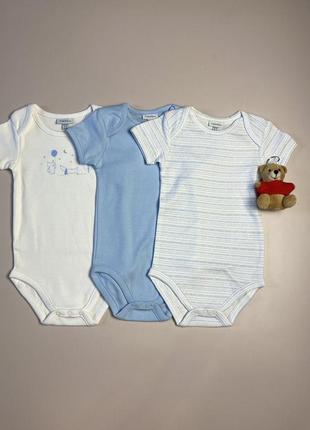 Набор бодиков на короткий рукав