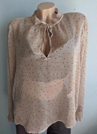 Шифонова блуза в мілкий горошок, neo noir.