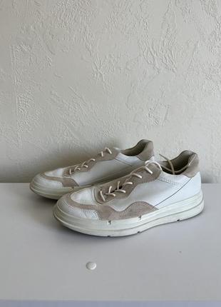 Кеди ecco