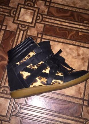 Продам маранты zara