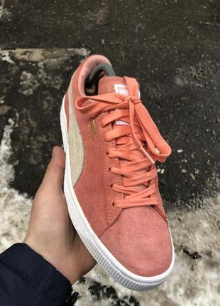 Кроссовки puma suede3 фото