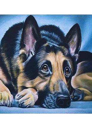 Алмазна мозаїка gle72966, diy 40х50см. на підрамнику, у подарунковій упаковці