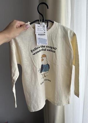Реглан zara