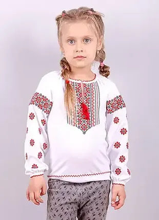 Стильна українська вишиванка для дівчинки, сорочка вишита, блуза з вишивкою-дитячий одяг1 фото