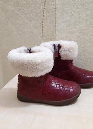 Сапоги ugg australia jorie оригинал размер 23,52 фото