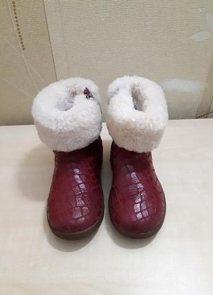 Сапоги ugg australia jorie оригинал размер 23,55 фото