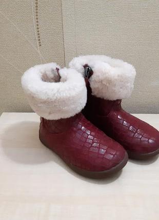 Сапоги ugg australia jorie оригинал размер 23,53 фото