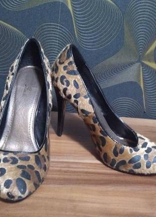 Леопардові туфлі з экомеха blink1 фото
