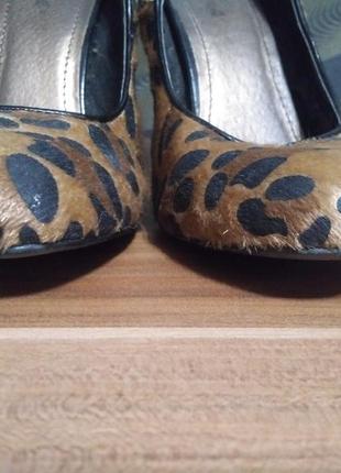 Леопардові туфлі з экомеха blink4 фото
