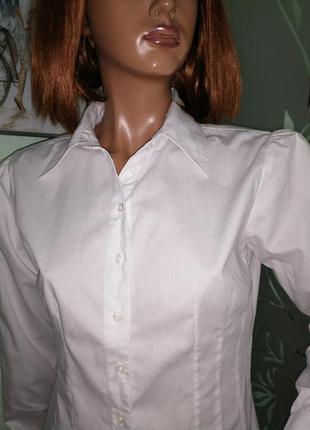 Базовая блузка рубашка urko3 фото