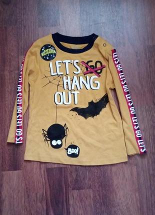 Реглан на хлопчика 18-24 міс