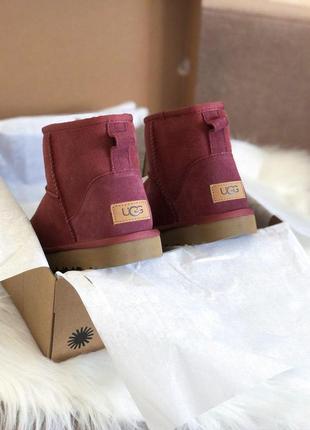 Женские зимние сапожки ugg mini wine red /осень/зима/весна😍2 фото