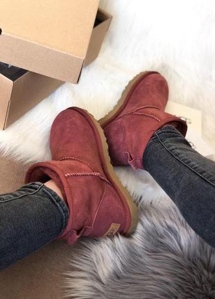 Женские зимние сапожки ugg mini wine red /осень/зима/весна😍9 фото