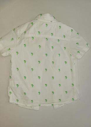 Рубашка сорочка котон з коротким рукавом кактуси9 фото