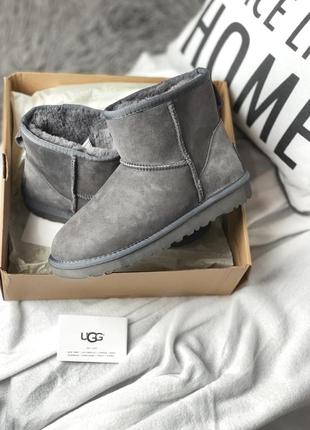 Зимние женские меховые сапоги ugg mini grey suede/осень/зима/весна😍