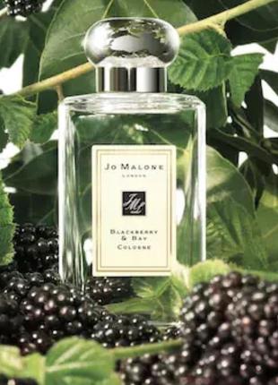 Jo malone blackberry & bay 100 ml жіночі парфуми джо мелоун блэкберрі бай малон ожина парфум6 фото