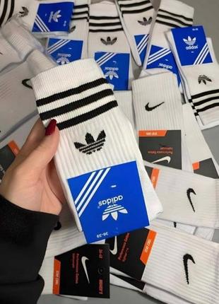 Високі спортивні шкарпетки nike, adidas люксової якості, носки найк, адідас високої якості, унісекс, купити носки