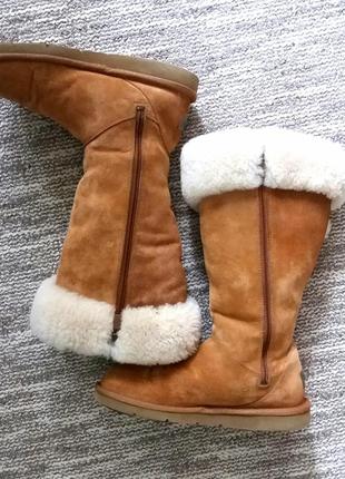 Високі жіночі уггі ugg australia plumdale boots 1894,оригінал,37 р6 фото