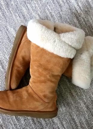 Високі жіночі уггі ugg Pink australia plumdale boots 1894,оригінал,37 р