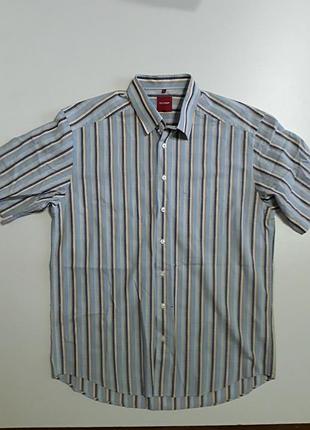 Фирменная хлопковая рубашка
