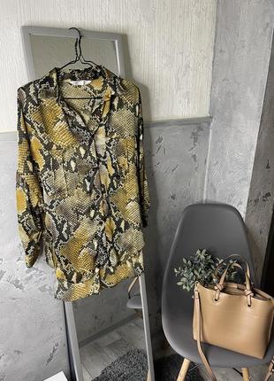 Рубашка питон