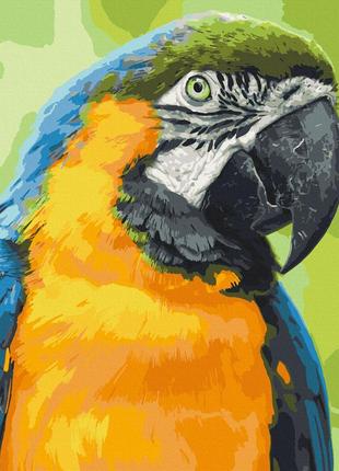 Картина по номерам папугай ара 40*50 см artcraft