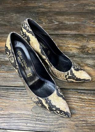 Туфлі sara milani, italy, з зміїним принтом, розмір 38 (24.5 см) відмінний стан6 фото