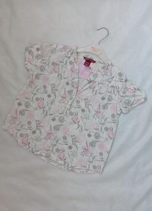 Літня ніжна блуза дівчинці на 5-6 роки, р. 110-1161 фото