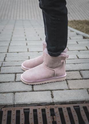 Шикарные меховые сапоги ugg mini bailey bow /осень/зима/весна😍3 фото