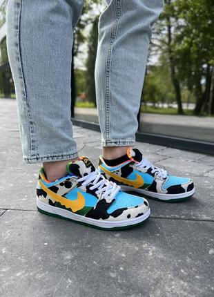 Sb dunk 'ben & jerry's'