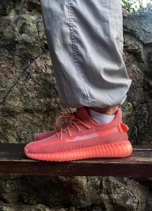 Adidas yeezy boost 350 v2 coral (рефлективні шнурки)