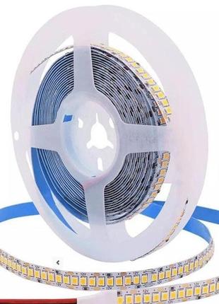 Світлодіодна стрічка 240 led/m smd2835 12v 19,2w ip20 10 мм 6000к (5 метрів) колір білий холодний ks122835240cw10mm shenzhen king