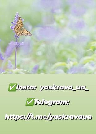 🔝 сережки 375грн🔝 3