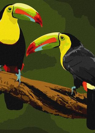 Картина по номерам 40х40 идейка экзотические птицы (kho4337)