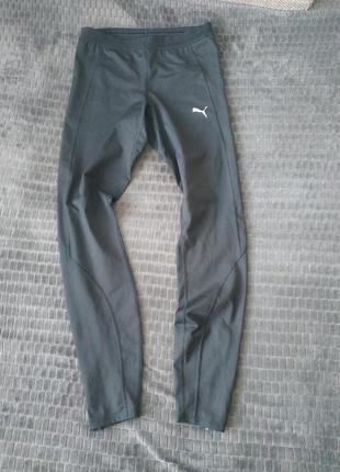 Термо штани puma