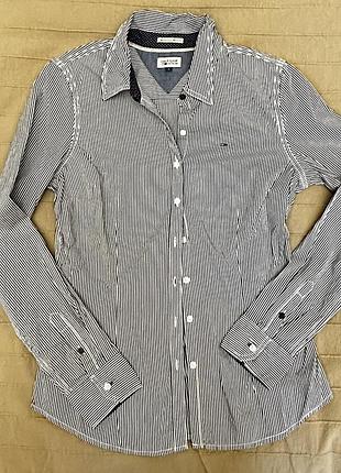 Жіночі сорочки tommy hilfiger