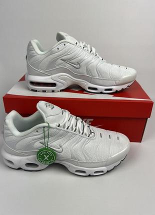 Nike air max plus