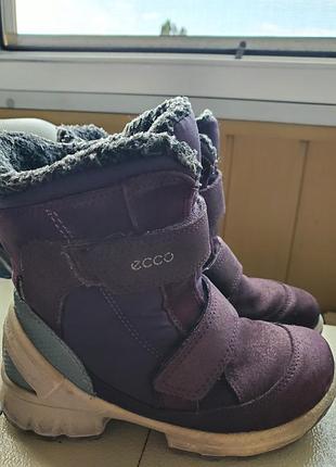 Ботинки. сапоги ecco 28