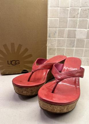 Босоножки на танкетке ugg1 фото